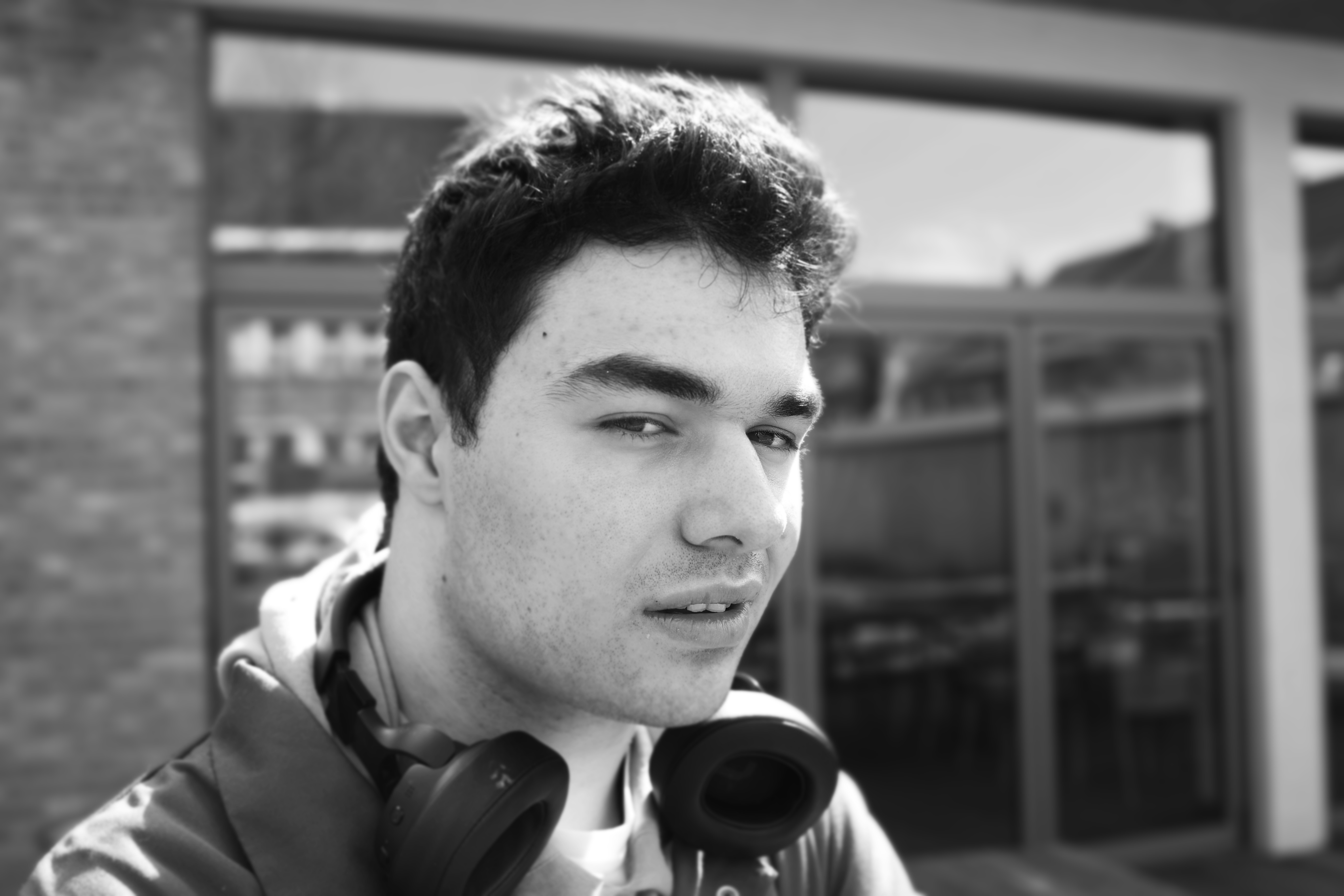 Kunstenaar  David  Barbakadze