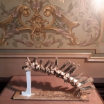 2019-MESTIERI