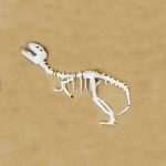 2019-MESTIERI
