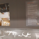 2019-Studio Dino