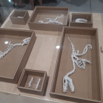 2019-Studio Dino
