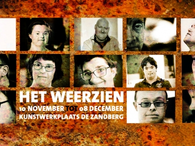 Kunstenaar   